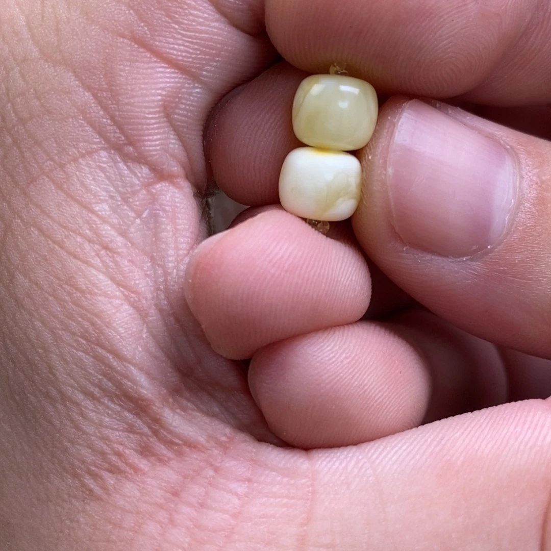 男***、蜜蜡未镶嵌裸石配饰