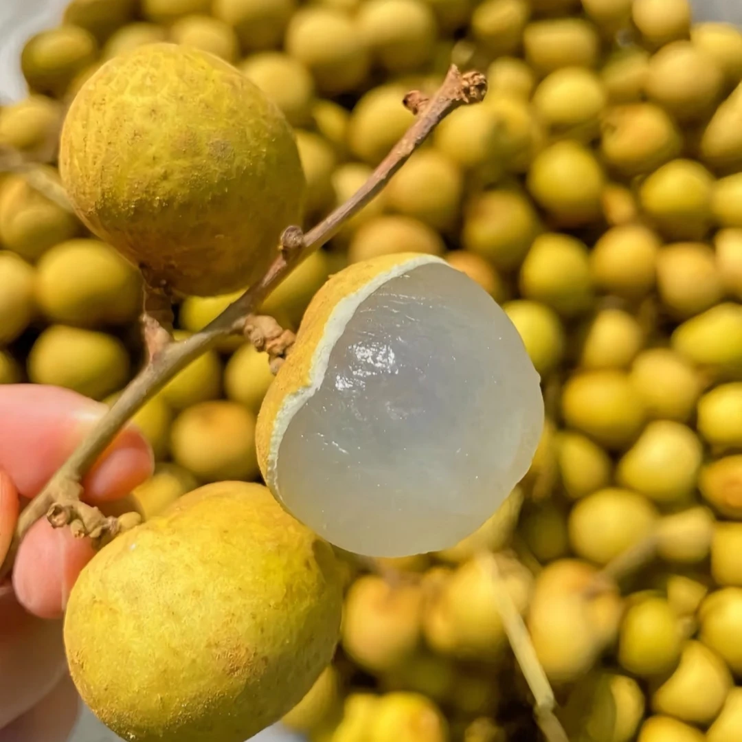 顺丰冷链龙眼新鲜现摘当季水果广东高州储良非桂圆干石硖龙眼