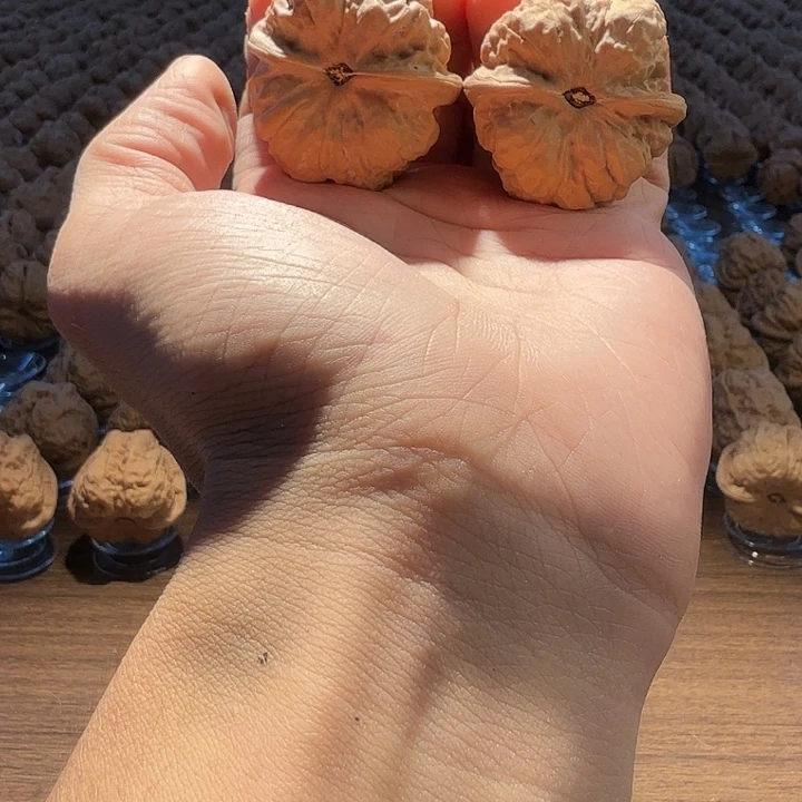 叭***啵核桃蛤蟆洞的水是一种