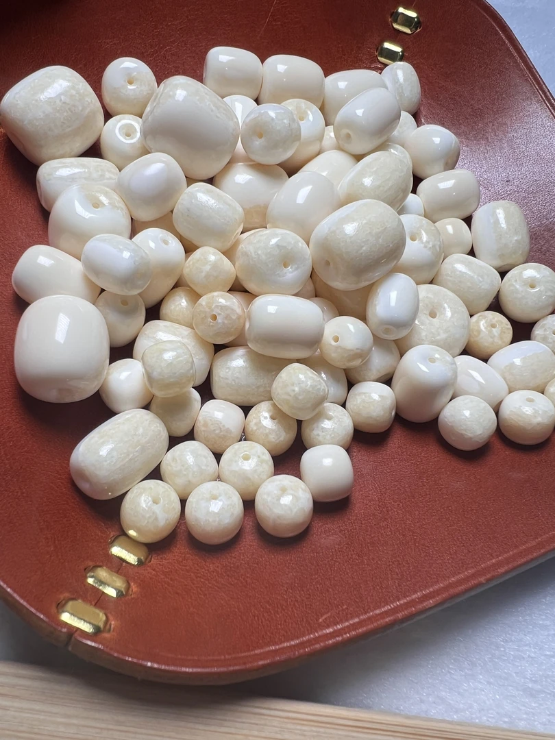 【虬败角虬】满脑单珠