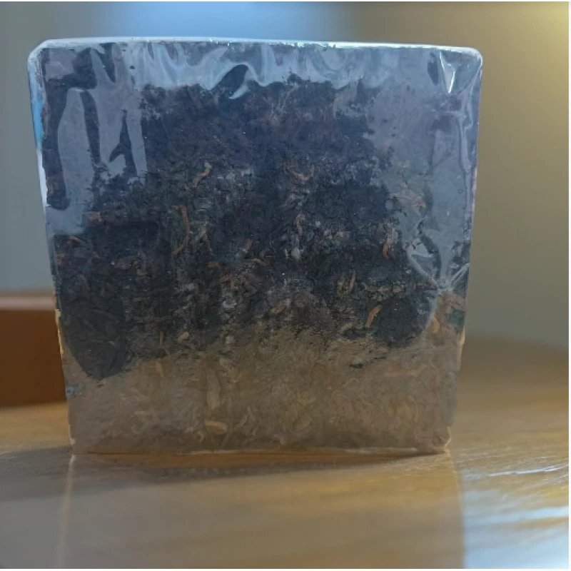 普秀 福字熟茶砖  普洱熟茶 250g/砖