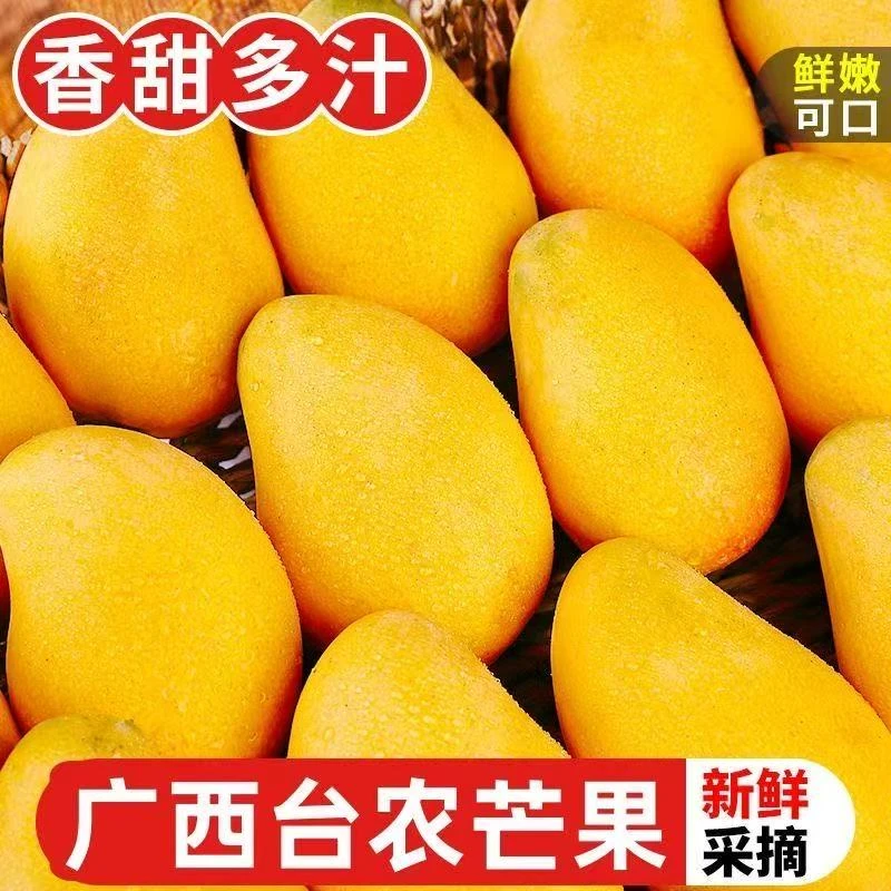 【现摘速发】广西百色芒果新鲜当季水果皮薄肉厚大台农芒果爆甜多汁