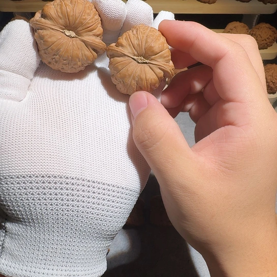大叶紫檀（黑酸枝木类）