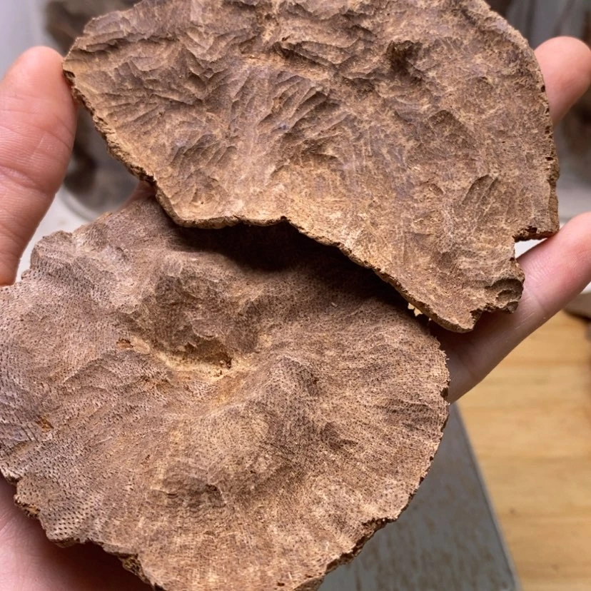 【闪购商品】风*车海南15克