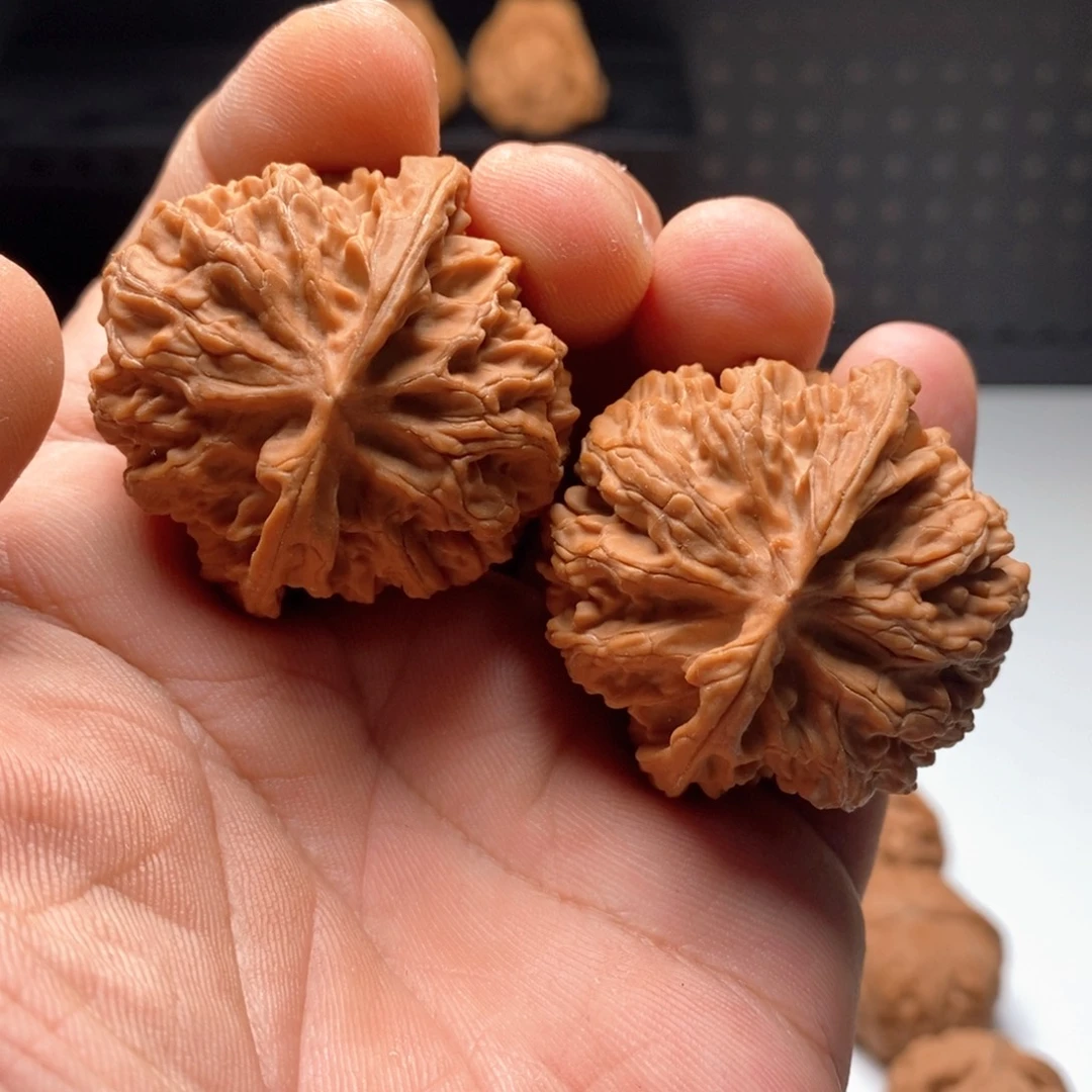 編***141全品苹果88888888888