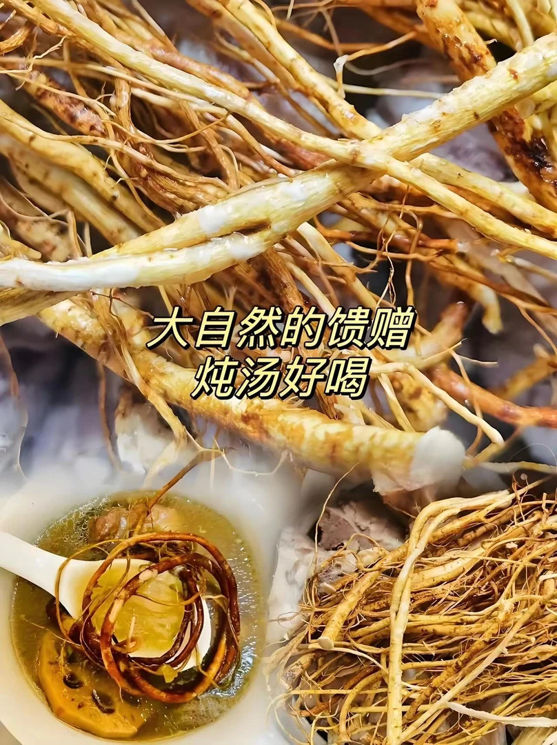 大山---野生五指毛桃