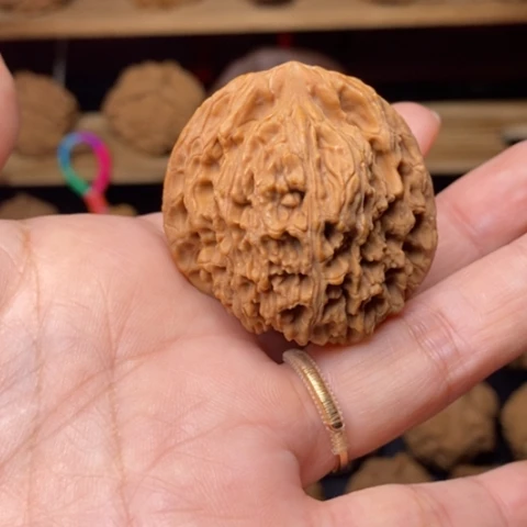 海***漂把件文玩核桃核桃