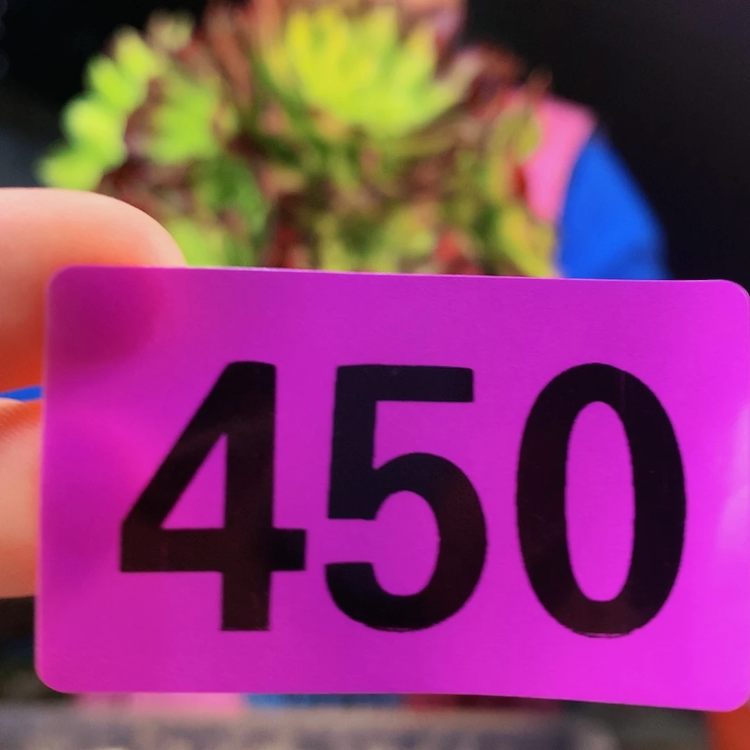 sssssssssssssssss450