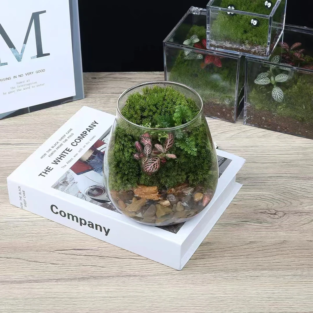 绿植手工制作