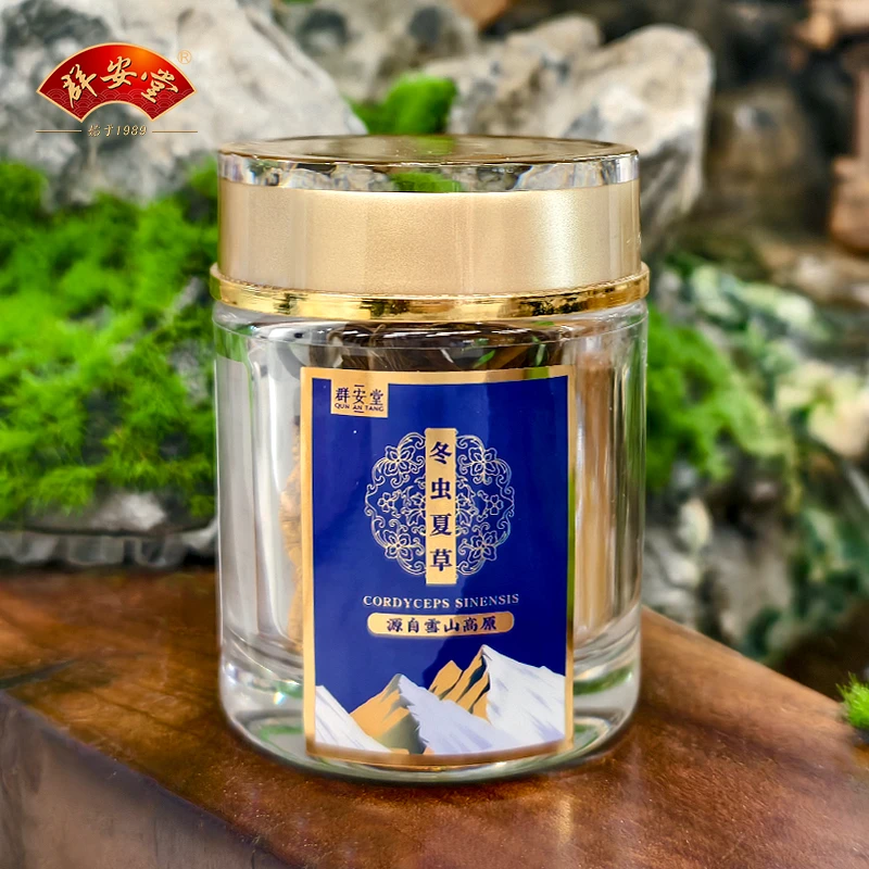 群安堂群安堂  冬虫夏草  （草身）