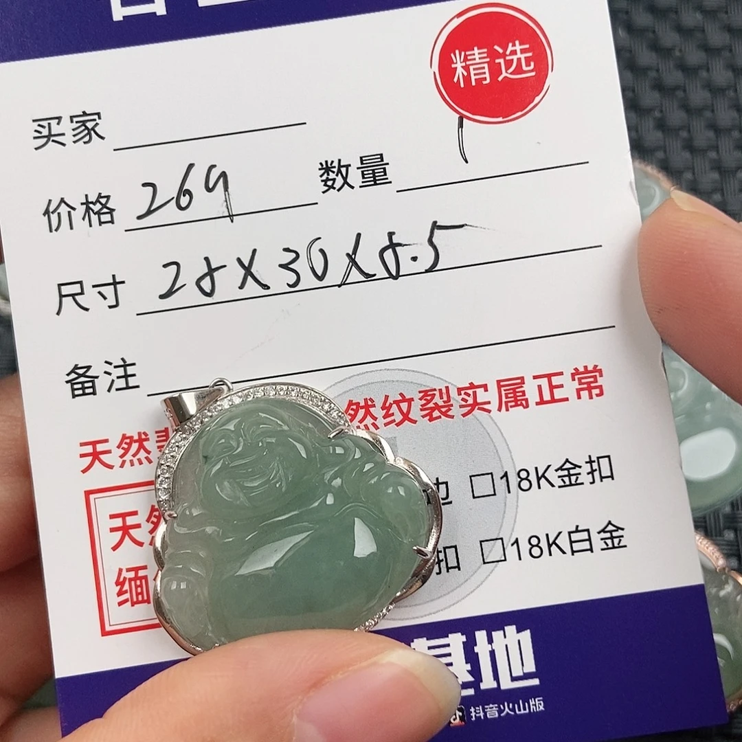 翡翠银S925镶嵌颈饰