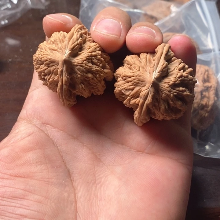 ?*莓练手的骨头是一个小