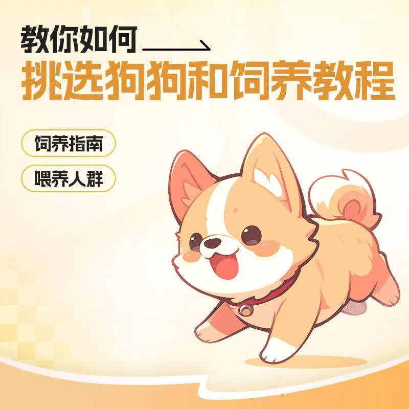 教你如何挑选饲养宠物