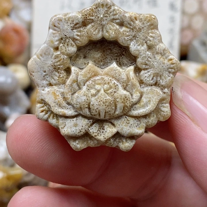 颈饰未镶嵌硅化珊瑚（珊瑚玉）有瑕 小