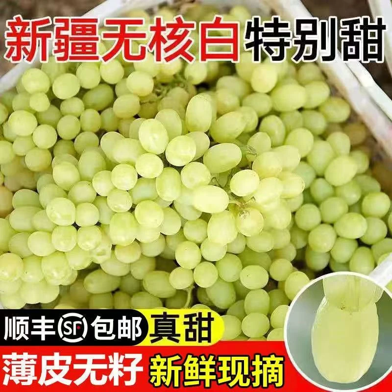 【顺丰次日达】新疆吐鲁番头茬无核白葡萄爆甜多汁现采现发新疆维吾尔自治区葡萄同城送新疆维吾尔自治区