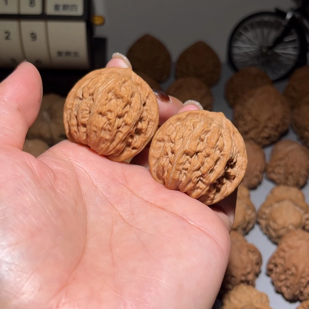 木质类赵闷38全品