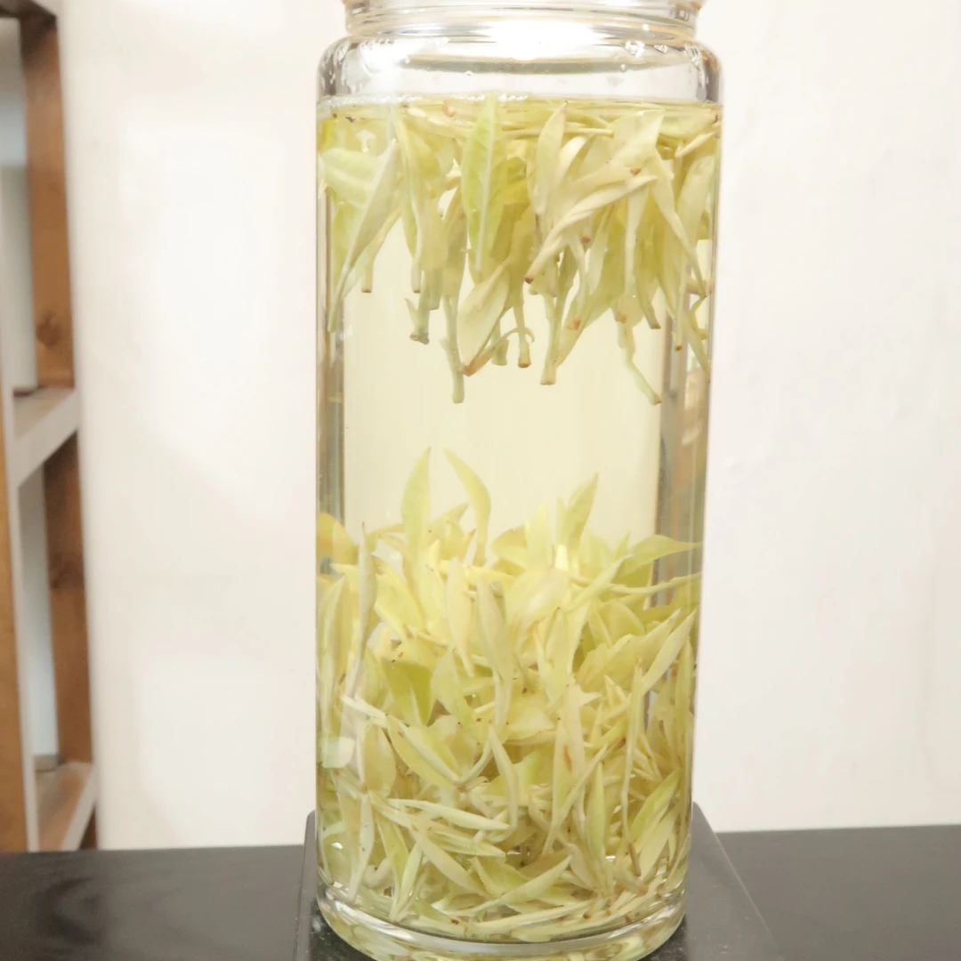 【新安四号】2025新茶 奶香熊猫茶 奶香型 明前春茶 檀木香