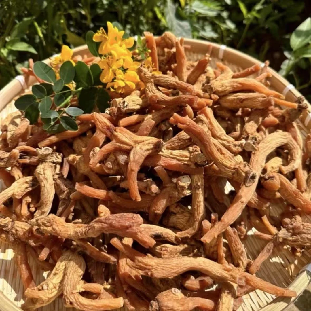 【阿秀山货】云南高原甄选 龙爪参 正宗云南高原土特产山货