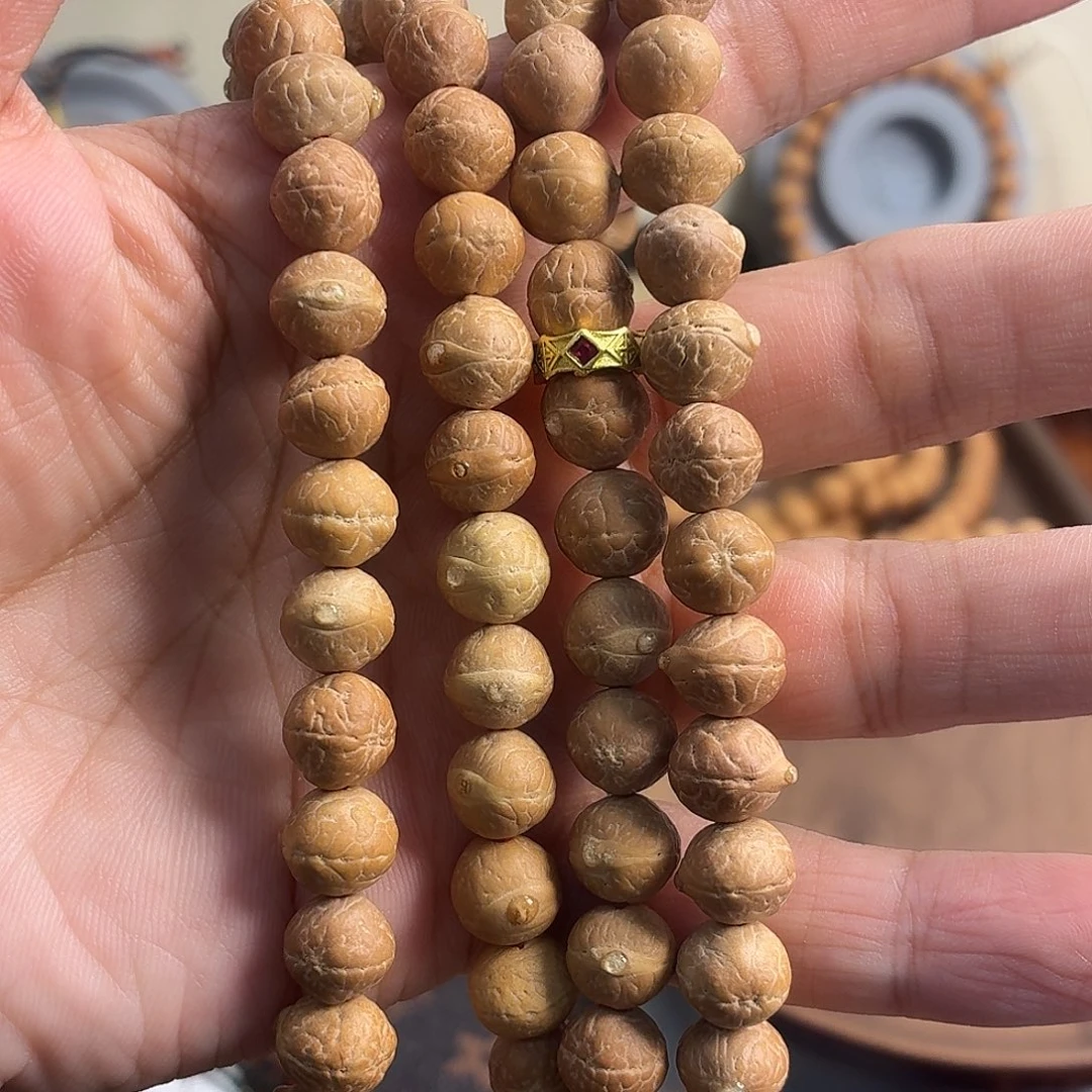 @***万吊坠龙脊菩提尼泊尔凤眼菩提