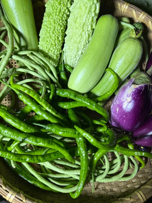 顺丰包邮 湖南农家蔬菜组合