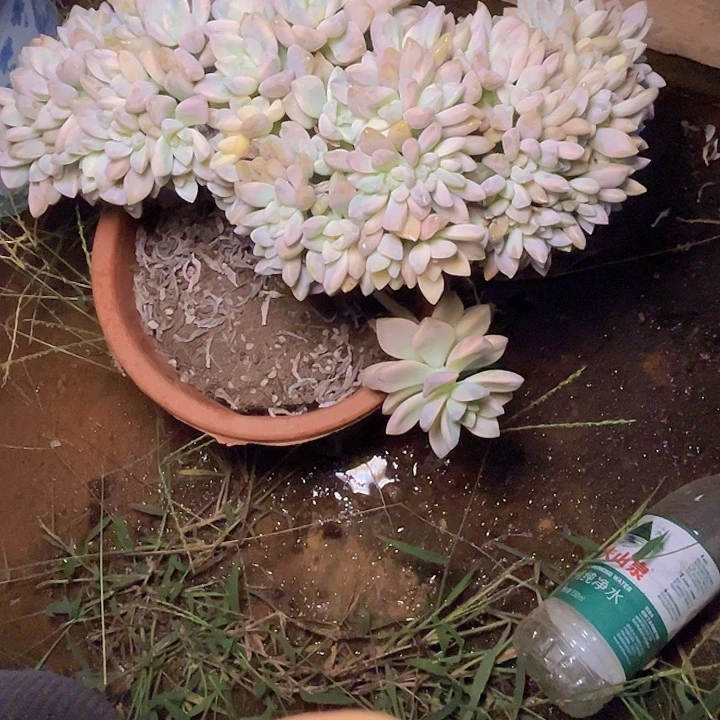 上***）你就不要在联系我们啊些啦