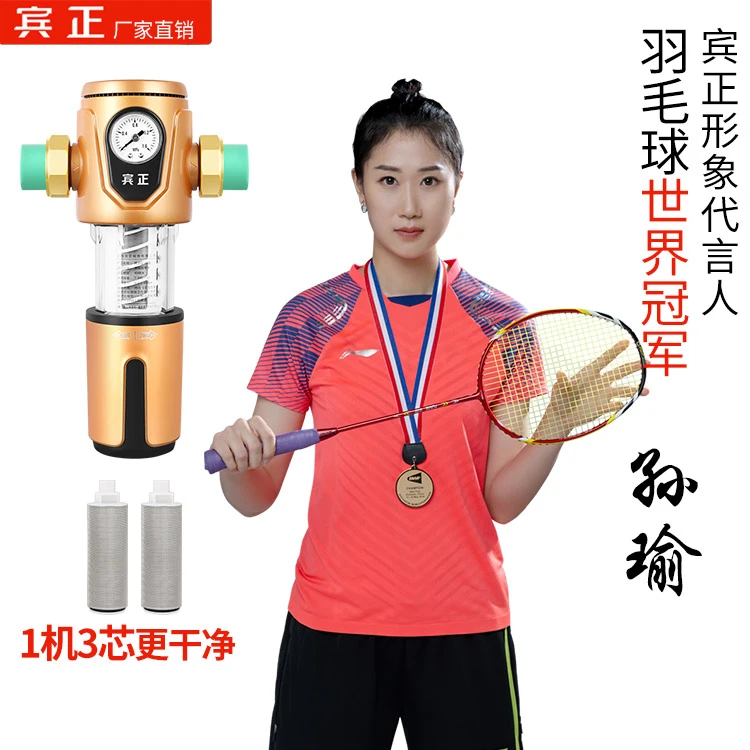 【1个滤芯或1机3芯】宾正前置过滤器净水器家用万向反冲洗防爆