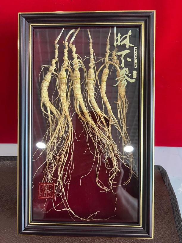 长白山野生林下参野山参老山参可泡酒礼盒自用送人