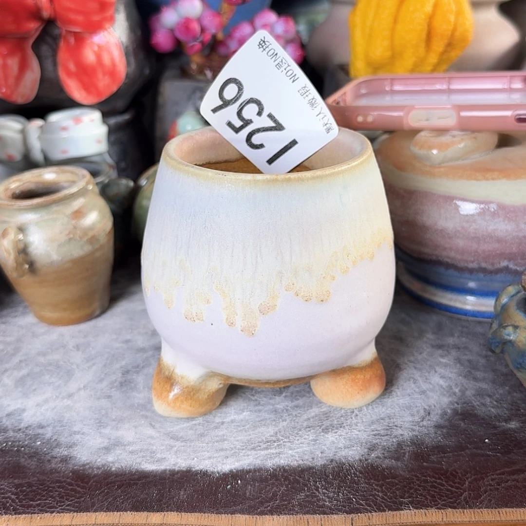 重庆小燕子欢迎大家256