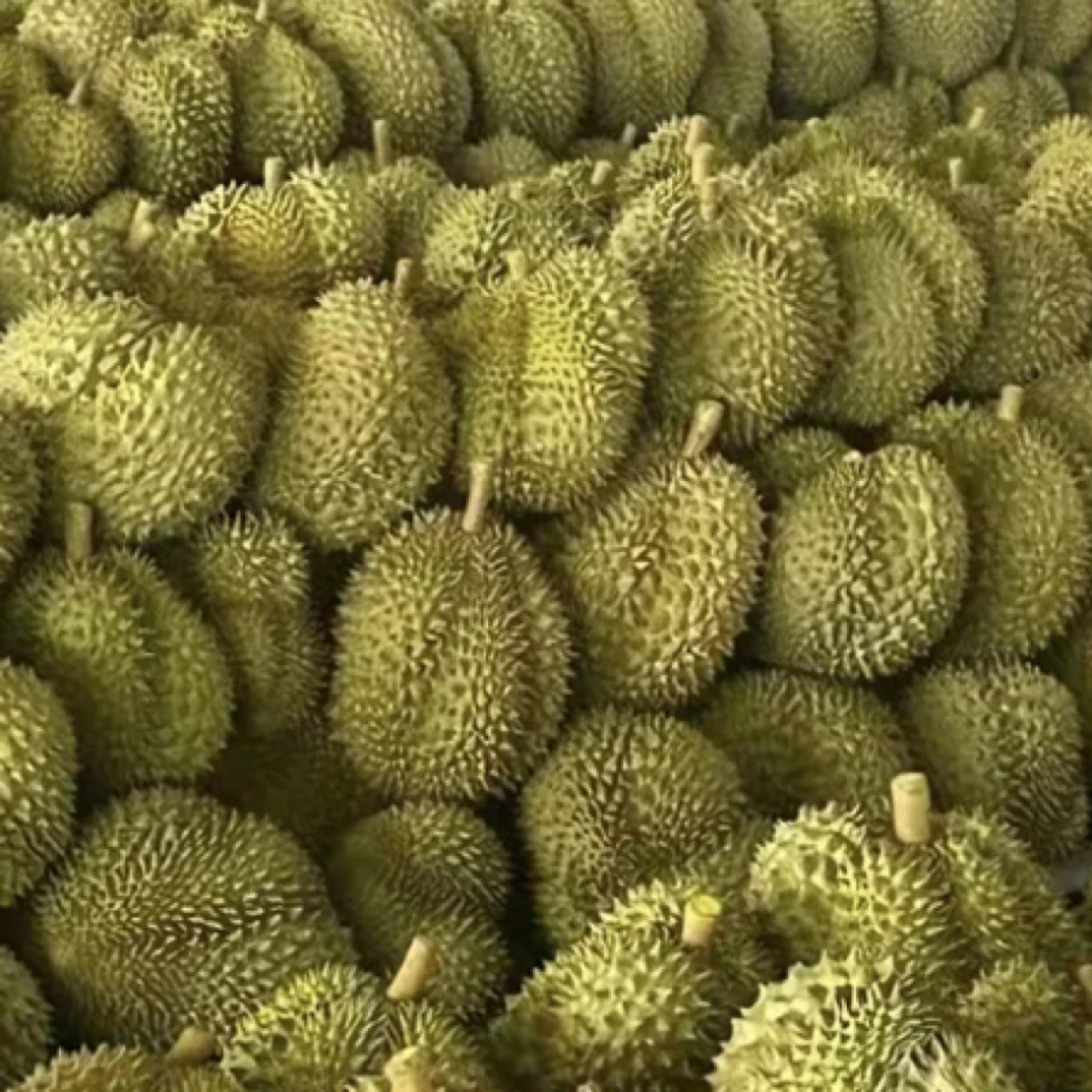 【一物一拍】金枕树熟榴莲新鲜泰国/越南g核小金枕越南