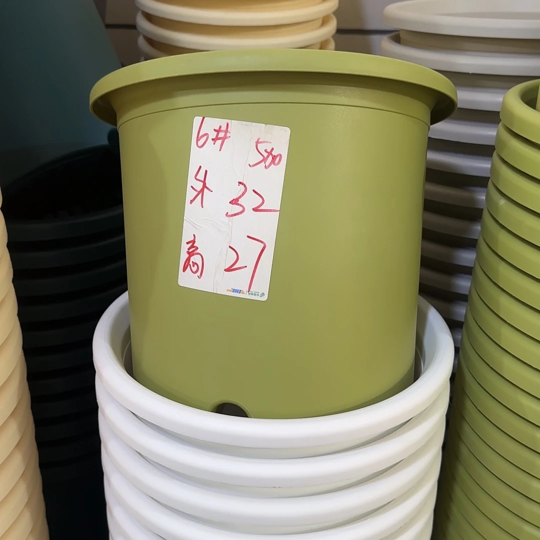 微瑕6号无托，果绿7个