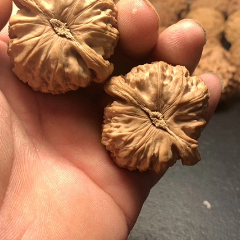 【闪购商品】把件文玩核桃朝****雪白狮子