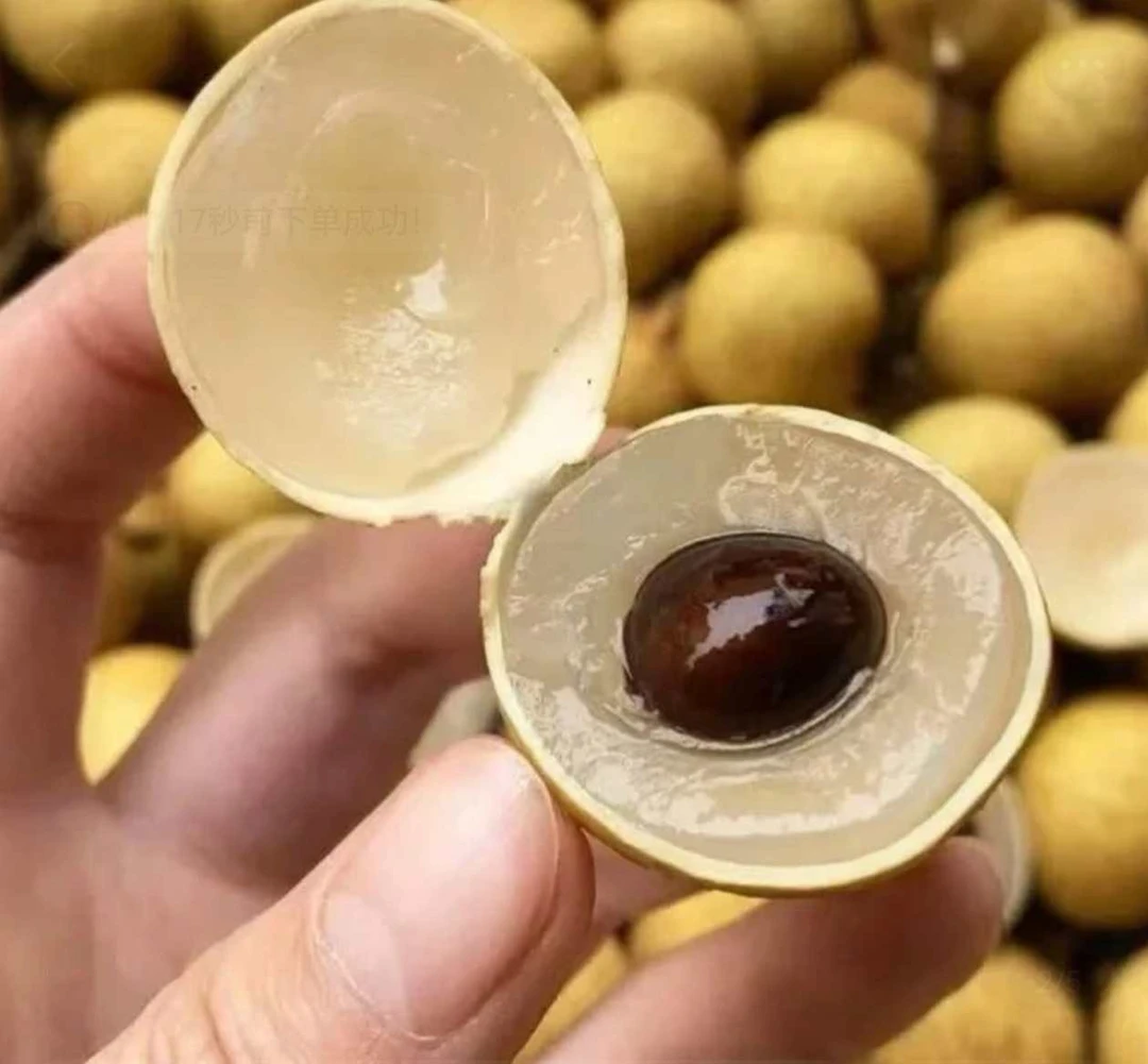 【冷链发货】石硖龙眼桂圆新鲜采摘当季水果清甜肉厚饱满现发