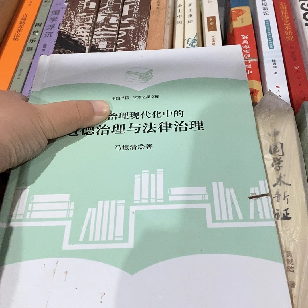 什么法…… 什么治……