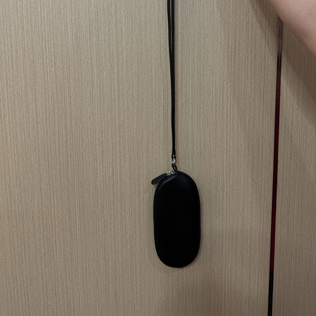 便携挂脖眼镜包墨镜包柔软羊皮胶囊包简约百搭时尚ins黑色小众女