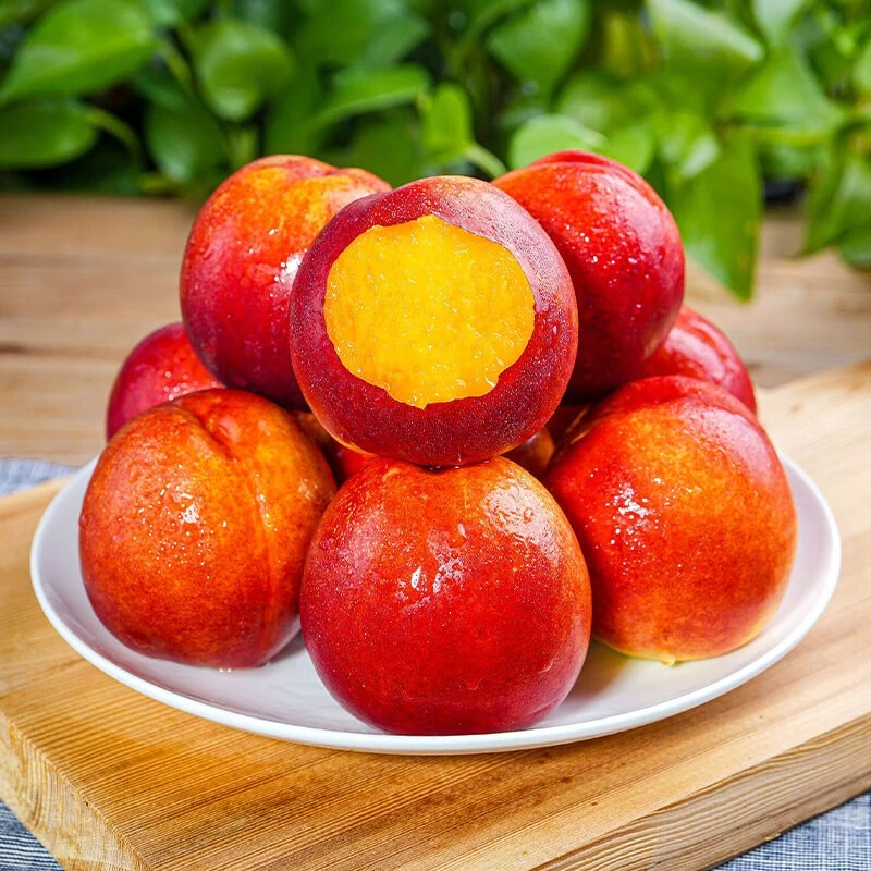 【丹东行】新鲜黄心油桃脆甜多汁头茬产地直采大油桃