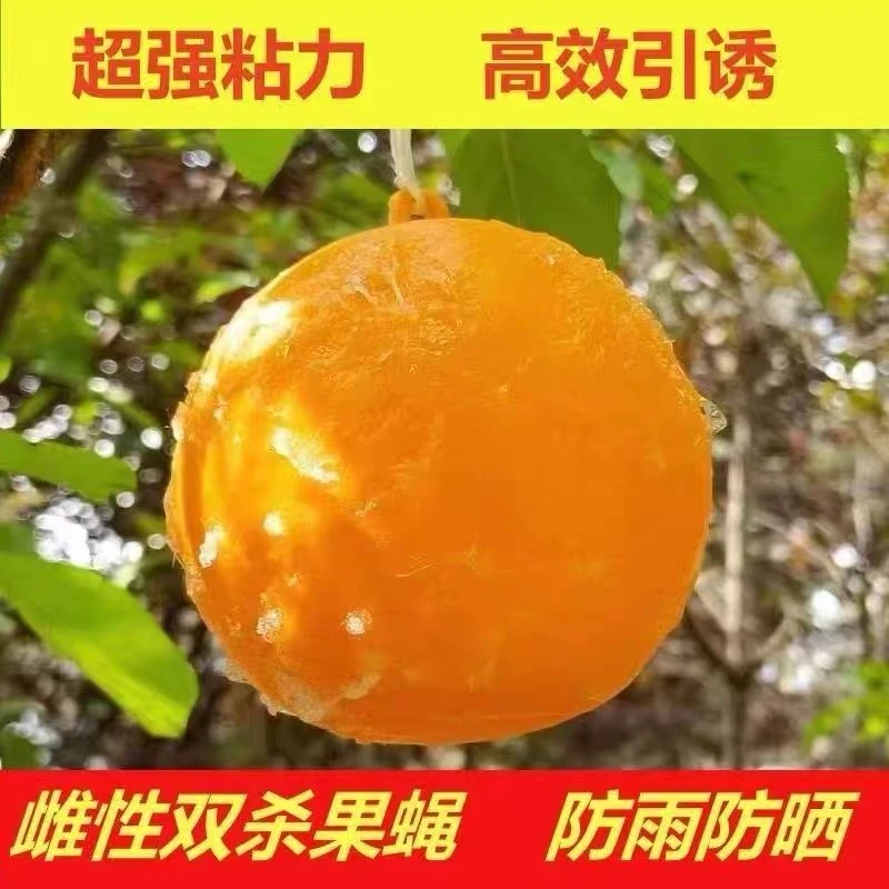 粘虫球丝瓜果实蝇贴诱蝇球针蜂马蜂色引诱剂果蝇诱捕器双面黄板纸