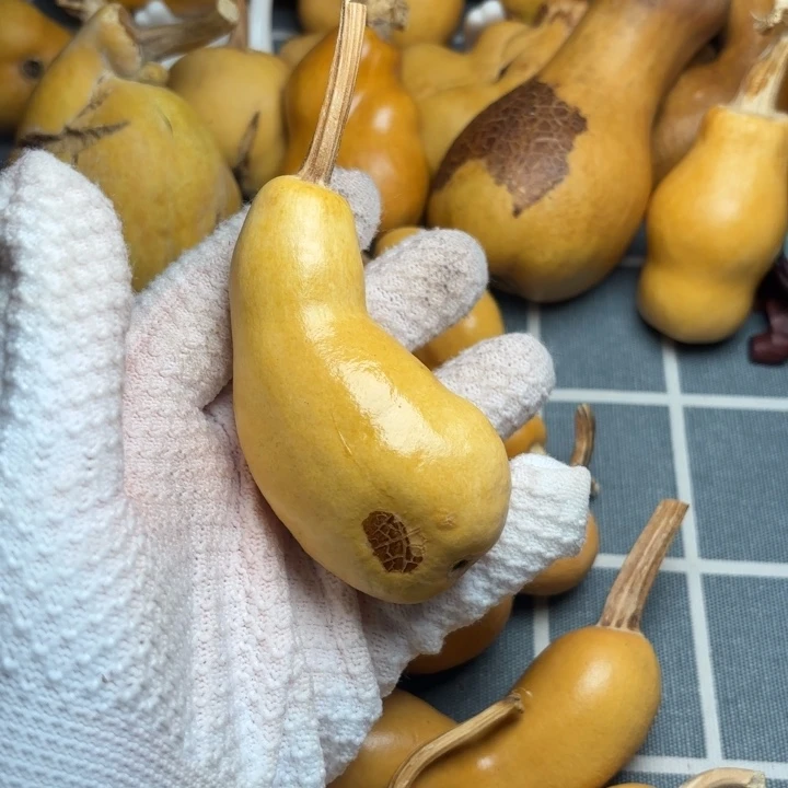 车***夫葫芦6666666666666