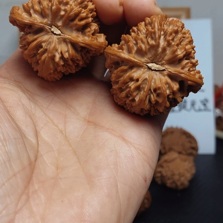 @***茶核桃42尺寸全品满天星