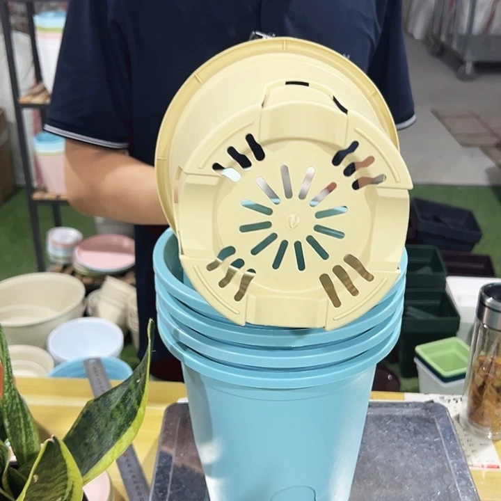 圆控根口21高21混色无托5个