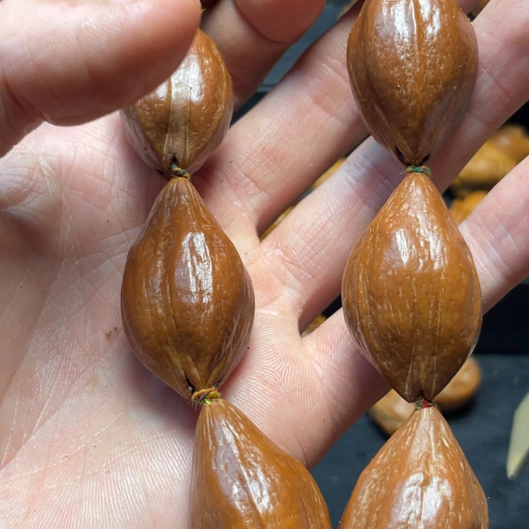 手串/手链橄榄核