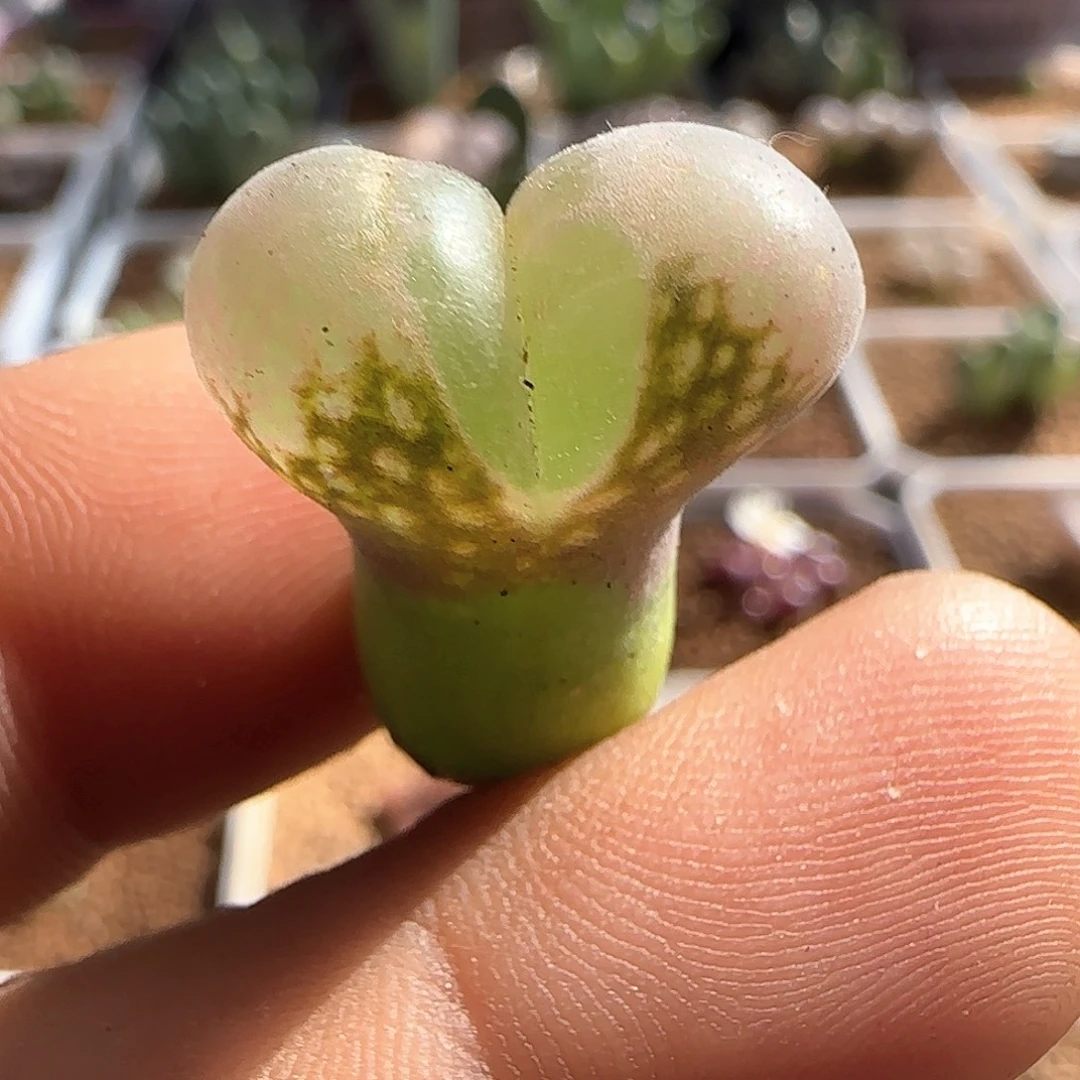 哈哈哈哈哈哈哈53290