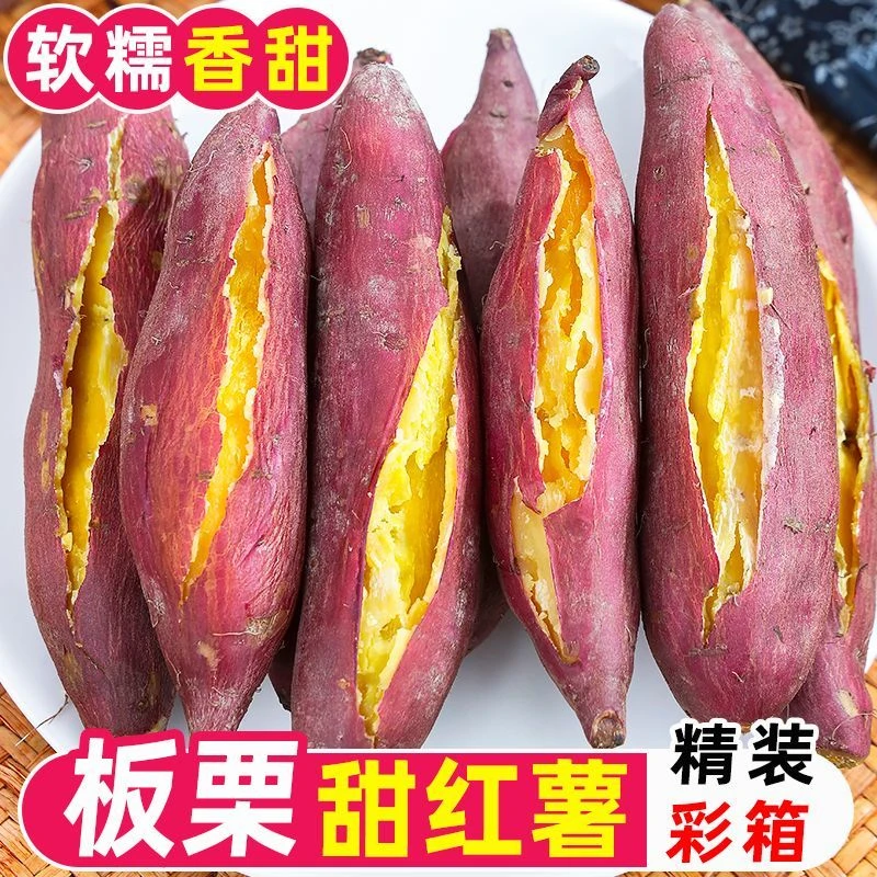 陕西板栗红薯秦薯5号干面粉甜香糯粗粮代餐