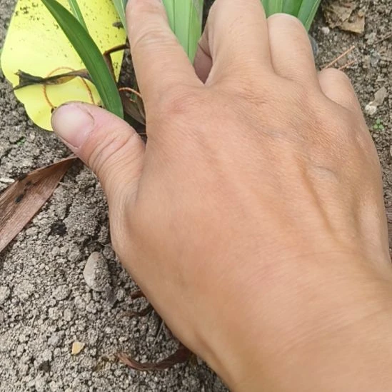 v***滚完全开放捉迷藏3+带侧