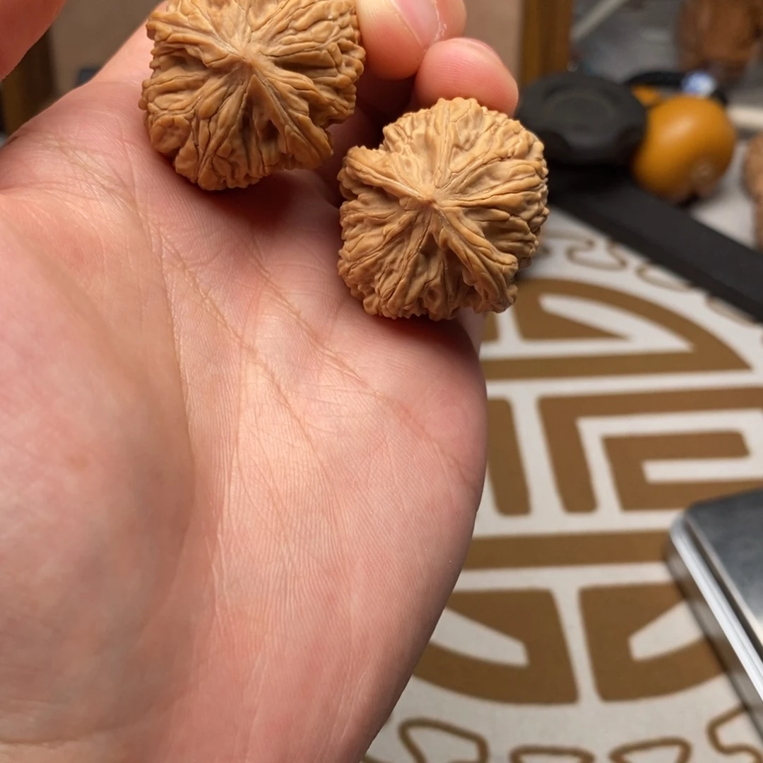 御龙粗筋哈哈哈哈哈哈