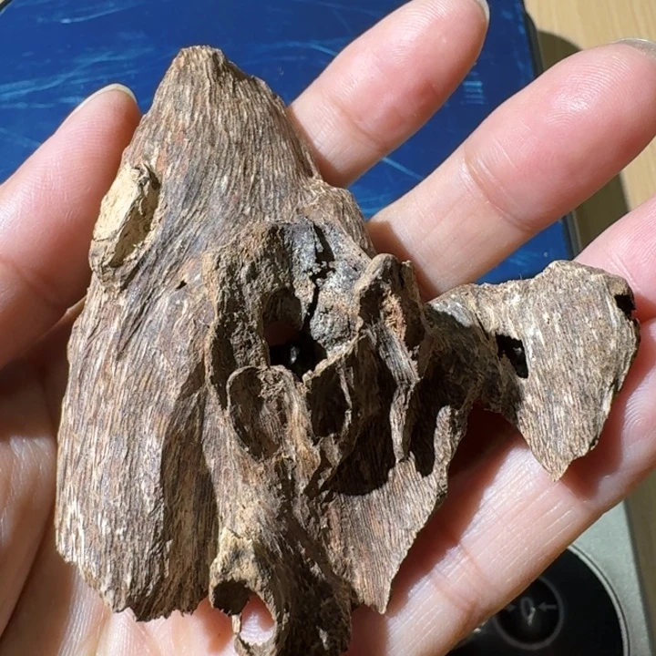 楠木广西虫漏块料6.8克