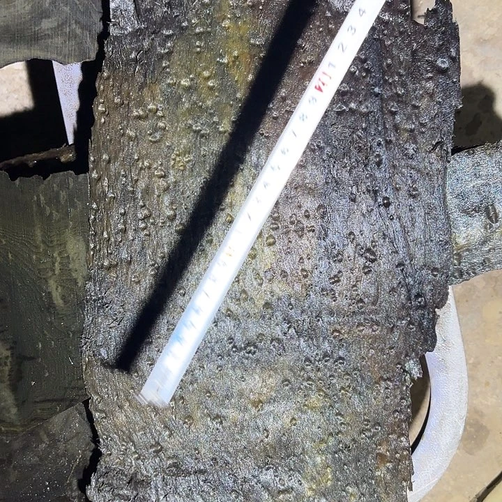 金丝楠金丝楠阴沉木