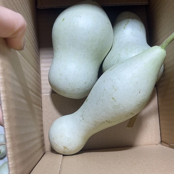 非洲紫檀（红花梨）古**人