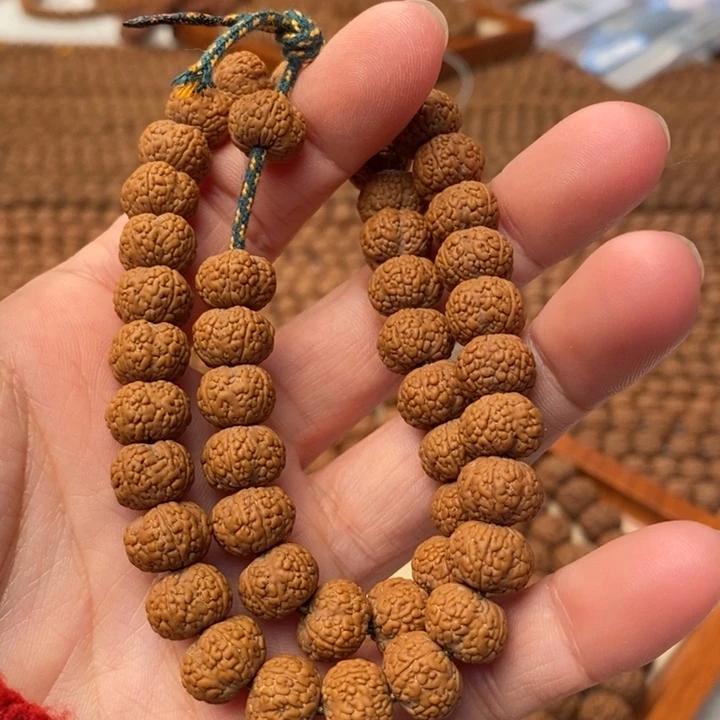 【闪购商品】金刚菩提吊坠浮**千毒药龙鳞5颗