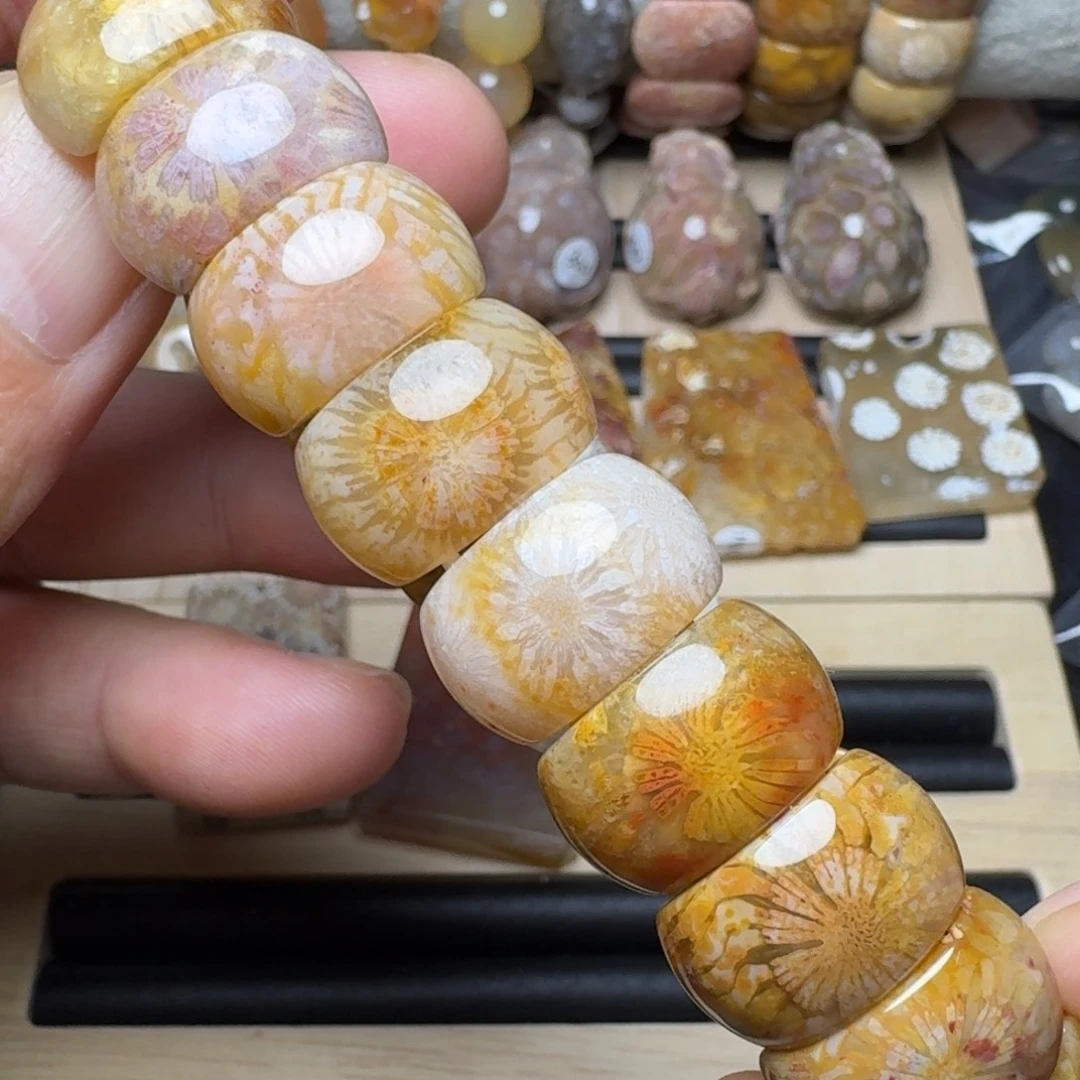 硅化珊瑚（珊瑚玉）未镶嵌纯天然色有机玉石保真色