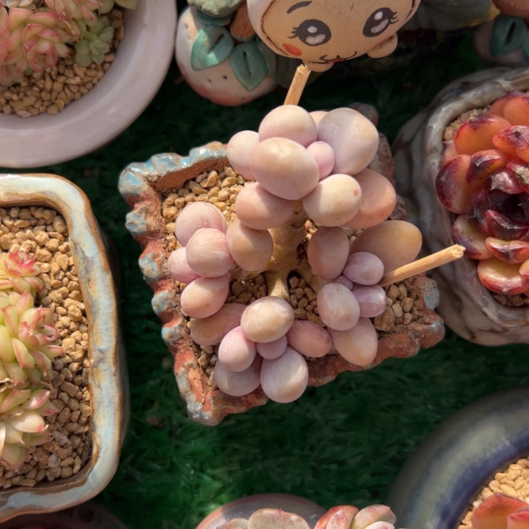 722 满38包邮一物一拍